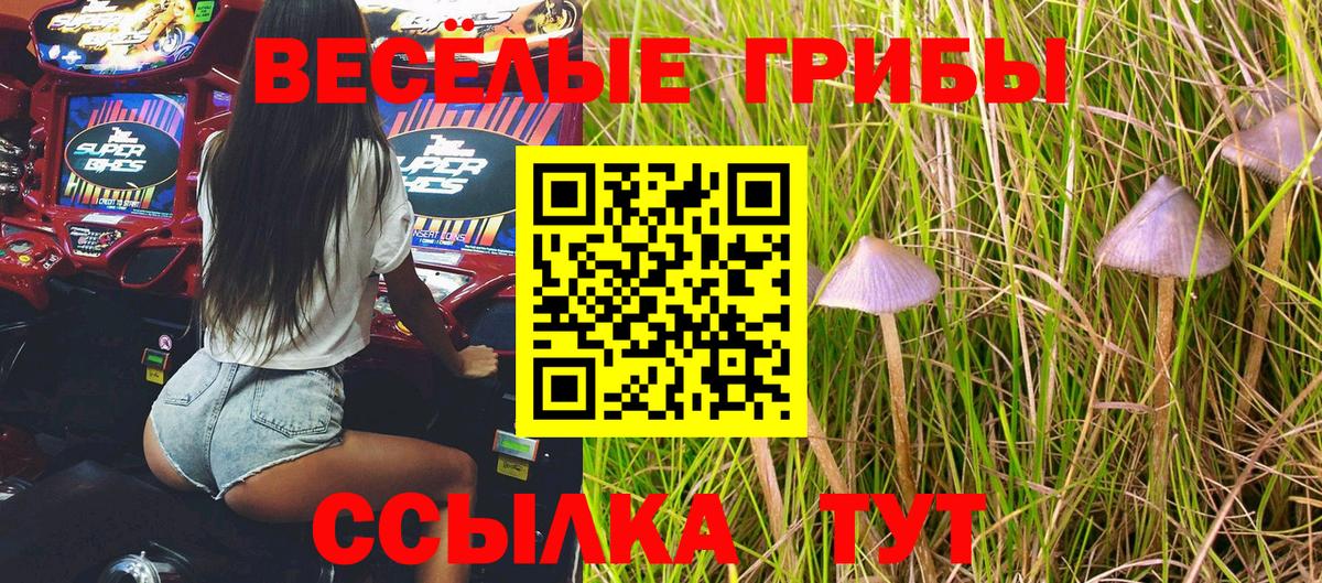 где продают наркотики  Вход с VPN  Выкса  Галлюциногенные грибы Psilocybine cubensis 